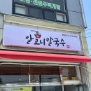 국물 진짜 시원한 알고니칼국수 | 개인적으로 해물칼국수 국물이 찐찐찐