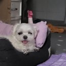 콩이네민박