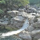 청학산 Daum카페