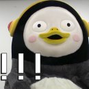 플로르 스토어 이미지