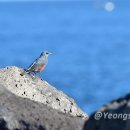 협자연대 이미지