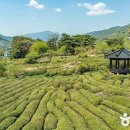 한밭제다