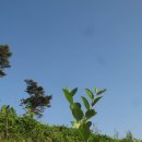 푸른솔농장3 이미지