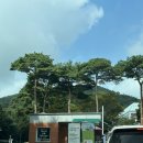 콤마자동차정비 | [공지] 용인 아이랑 가볼만한 곳 삼성화재 모빌리티뮤지엄 식당 추천 수유실정보