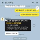 대구 레터링케이크 주문 기념일선물 예쁜케이크 말그미옥상