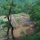 동업 농장 이미지