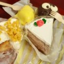 늘솜케이크 이미지