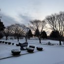 Cathy와 함께하는 영어동화 | 메타인지 영어지도사 과정 제90기 교육 후기를 공유합니다