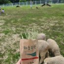 신기부화장 이미지