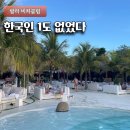 엘카서비스 | [공지] 발리 비치클럽 어디 갈지 고민이라면 한국인 1도 못 본 엘카브론 추천합니다