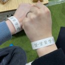 2024 양재 플라워 페스타 방문 후기