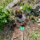 천부농장 이미지