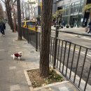 나리펫살롱 | 나리펫살롱 내 돈 내산 3번째 방문 후기