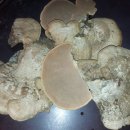 부근농장 이미지