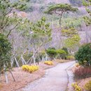힐링카운티 17동 이미지