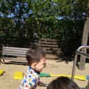 단남초등학교 이미지