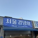 서울강냉이