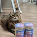 고로고로펫 이미지