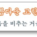 충남삼초