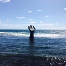 호미곶돌문어 이미지