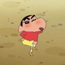 헤미쉬 티스토리