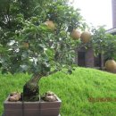 한담공원 이미지