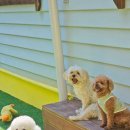 멍스토리 이미지