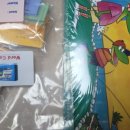 중앙기독초 이미지