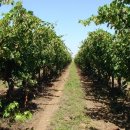 옛날농장1 이미지