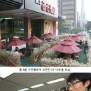 녹색통신 디지털타임스