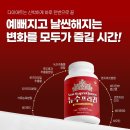 뚱보중국식품 | [공지] 11/17- 24 공구일정 안내 :)