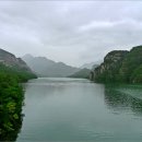 (주)미리본 Daum카페