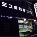 도그메리트 강아지 이미지