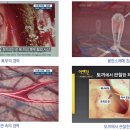 한경통신 이미지