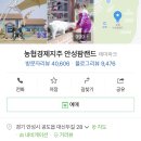 산삼꽃피는마을 이미지