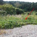 아동4통 마을회관 이미지