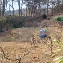 개곡리농장 이미지