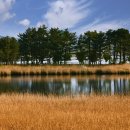 초도콘도 민박 | 가족 여행지 추천 Best 3, 즐거운 국내 가족여행!