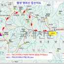 제309차 함양영취산 정기산행(6월21일) 이미지