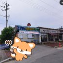 증평 건강랜드 불가마 찜질방 | 증평군 건강랜드불가마찜질방 사우나 정보