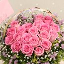 토실 토실 이미지