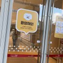 펫라운지카페 | 파주 스타필드빌리지 운정점 반려견 동반 후기｜펫라운지부터 강아지 동반 카페까지