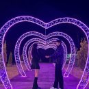 쏟아지는 허브