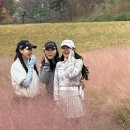 인제천연잔디구장 | 늦가을 날씨 뽑기 성공 남서울cc 골프 라운딩 후기 조식 페어웨이 잔디 그린 상태