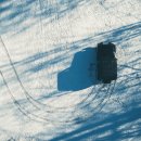 아이언게러지 이미지