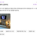 펫-114 | 대전 강아지 화장 결정 전, 진짜 믿을 수 있는 기준은? 대전 강아지 화장 비용, 후기 안내