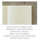 만년필 노트 리스트업 / 필사노트, 불렛저널, 독서노트