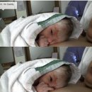 재롱이네 이미지