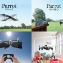 PARROT KOREA 이미지