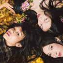 K. T. M GYM 이미지